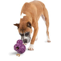 Petsafe Busy Buddy Barnacle Treat Dispenser Tough Dog Chew Toy Purple