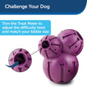 Petsafe Busy Buddy Barnacle Treat Dispenser Tough Dog Chew Toy Purple