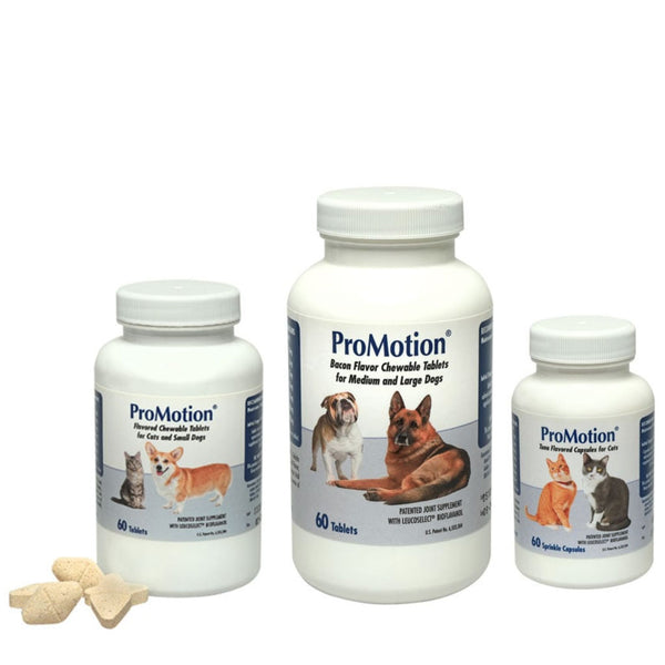 ProMotion Joint Support Supplement for Medium & Large Dogs family