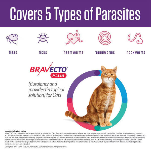 Bravecto Plus Topical Solution for Small Cats 2.6-6.2 lbs type 5 parasites