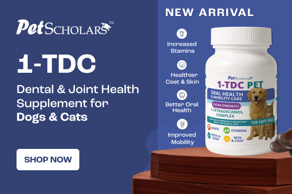 Pet Scholars 1-TDC supplement for dogs and cats on a wooden stand with promotional text.