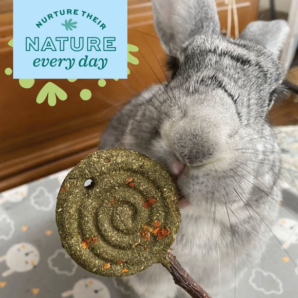 Oxbow Enriched Life Timothy Hay Apple Lollipop Treat for Small Animals