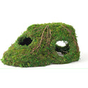 Galapagos Sapa Corner Hide Terrarium Hideaway (10 in)