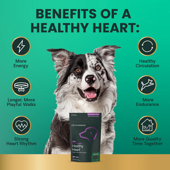 Extra Strength Healthy Heart Chews for Dogs