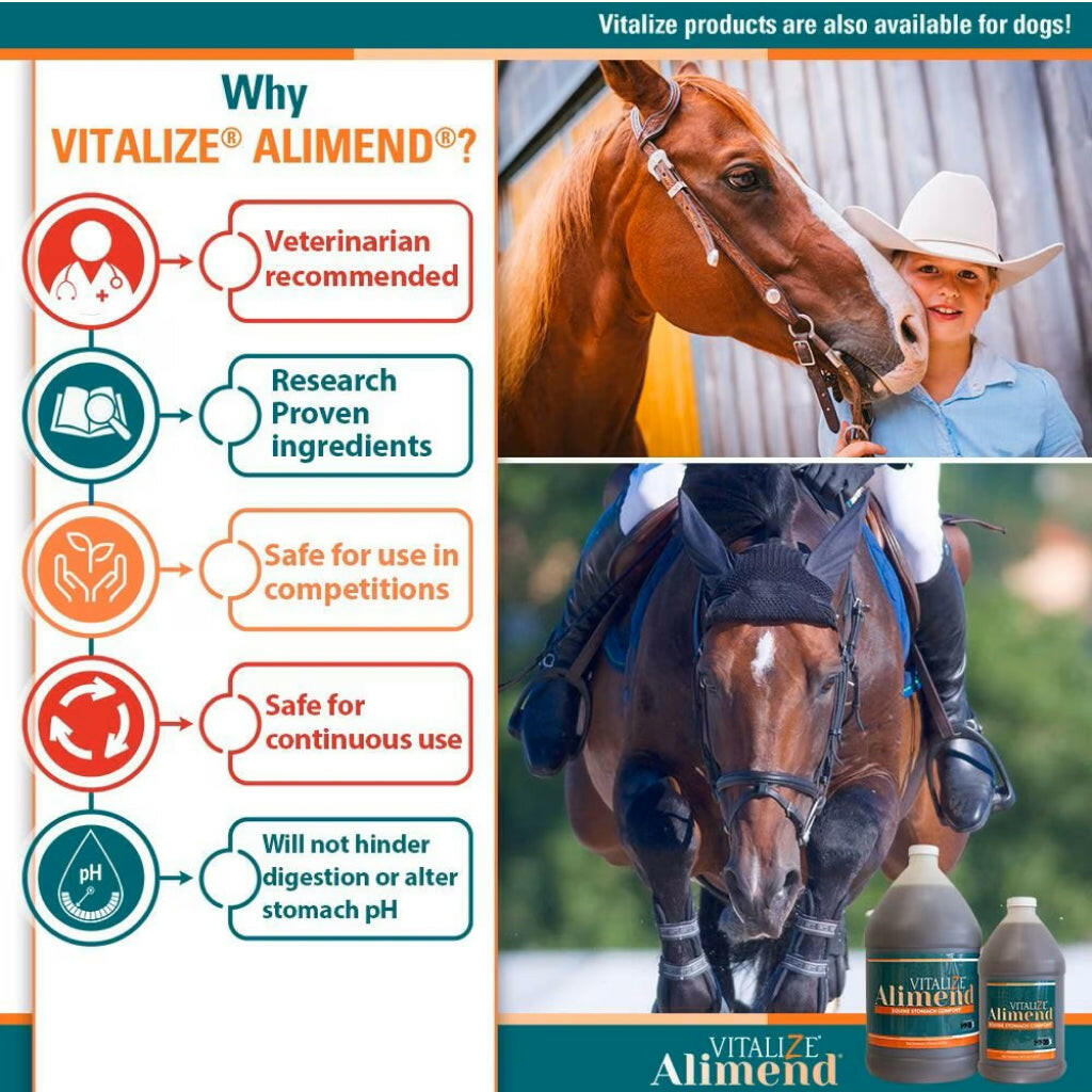 Vitalize Alimend Stomach Comfort Gastric Support for Horses (64 oz)