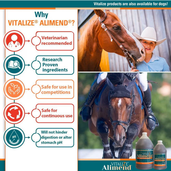 Vitalize Alimend Stomach Comfort Gastric Support for Horses (64 oz)