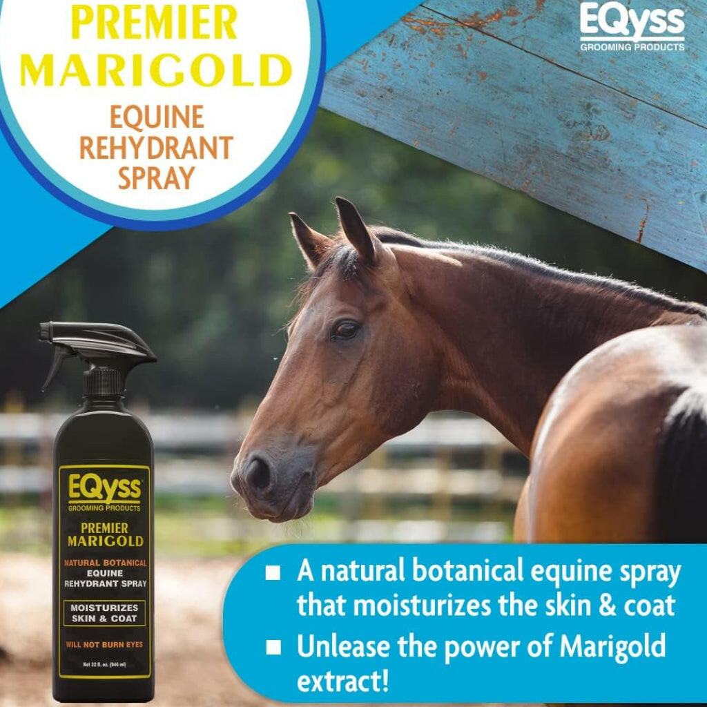 EQyss Groming Products Premier Marigold Moisturizing Rehydrant Spray for Horses (32 oz)