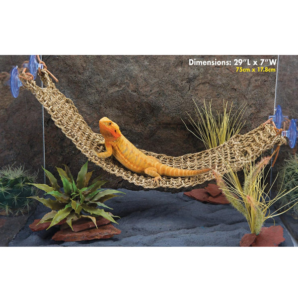 Penn-Plax Reptology Natural Lizard Lounger