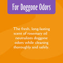 Earthbath Mediterranean Magic Deodorizing Shampoo for Dogs & Cats (16 oz)-2