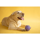 JW Pet Crackle Heads Ball Toy For Dogs- Assorted Colors