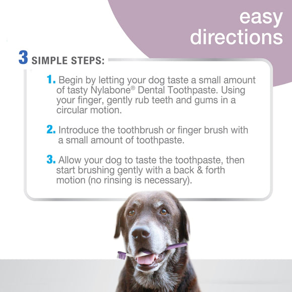 Nylabone Advanced Oral Care Senior Dog Dental Kit with Bacon Toothpaste