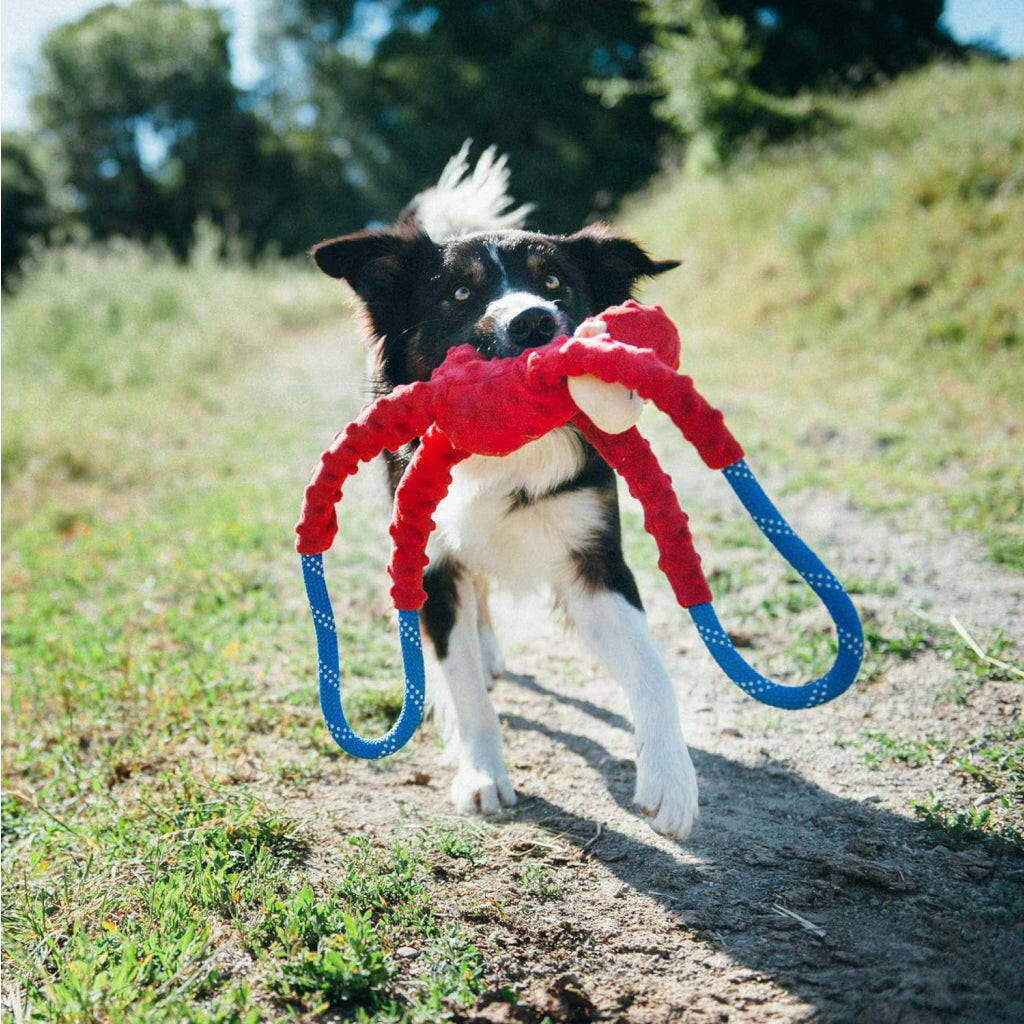 Zippy Paws Monkey RopeTugz Durable Rope Squeaky Chew Toy For Dog Red (Large)