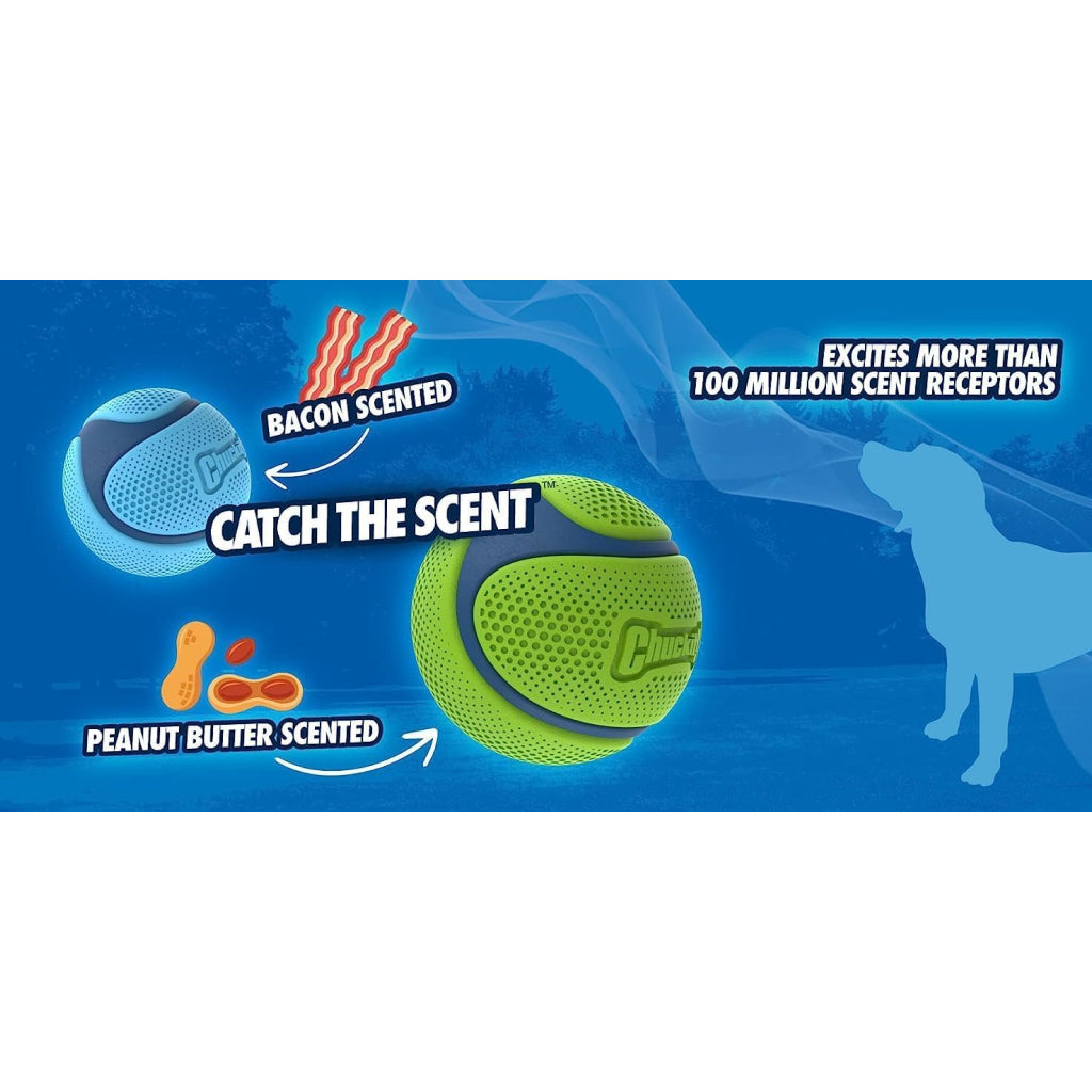 Chuckit! Sniff Fetch Rubber Ball Toy For Dogs- Bacon Scented- Medium (1 pack)