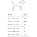 Ruffwear Hi & Light Dog Harness- Sage Green