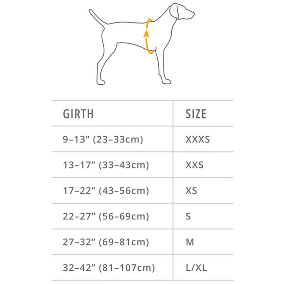 Ruffwear Hi & Light Dog Harness- Sage Green