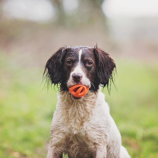 Chuckit! Air Fetch Ball Toy For Dogs - Medium (2 pack)