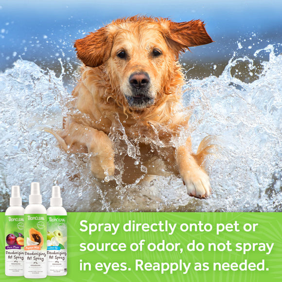 TropiClean Lime & Coconut Deodorizing Spray for Pets-8oz