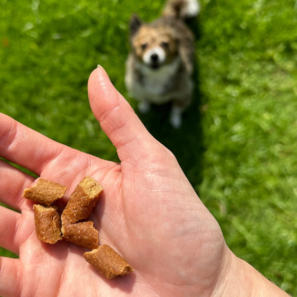 OTIS Wild Things Salmon Trainers Bite-Sized Treats for Dogs (4 oz)