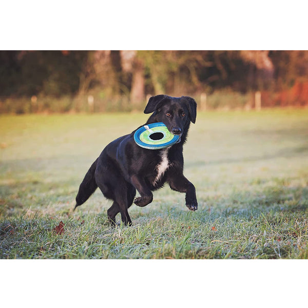 Chuckit! Zipflight Max Glow Toy For Dogs- Medium