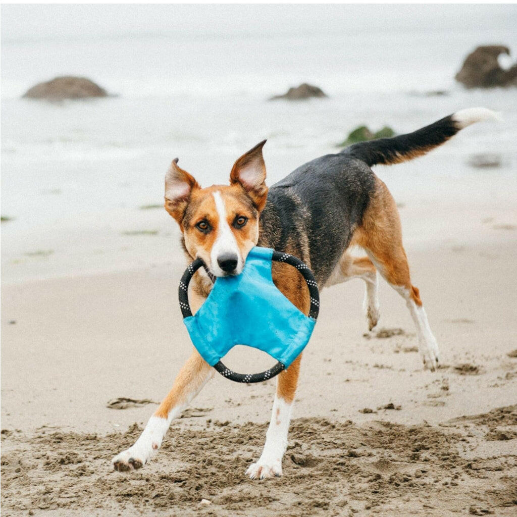 Zippy Paws Rope Gliderz Dog Toy Blue Toy For Dog (Medium)