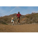 Ruffwear Hi & Light Dog Harness- Sage Green