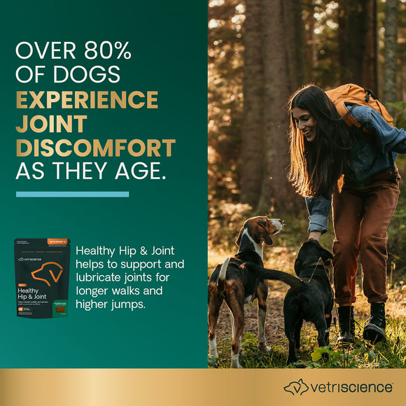 Healthy Hip & Joint Chews for Dogs Chicken Flavor