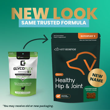 Healthy Hip & Joint Chews for Dogs Chicken Flavor