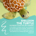 Snugarooz Shelldon the Turtle Green Dog Crinkle & Squeak Toy (10")