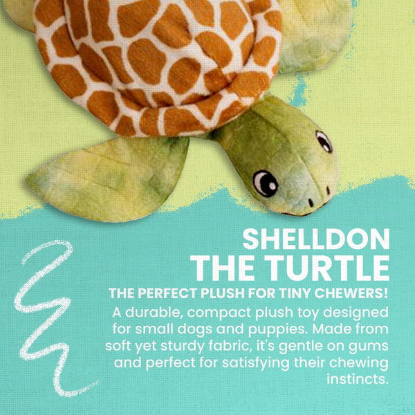 Snugarooz Shelldon the Turtle Green Dog Crinkle & Squeak Toy (10")