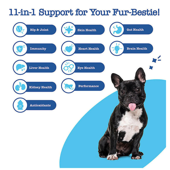 Zesty Paws Senior Advanced 11-1 Multifunction Bites Chicken Flavor Supplement For Dog (90 ct)