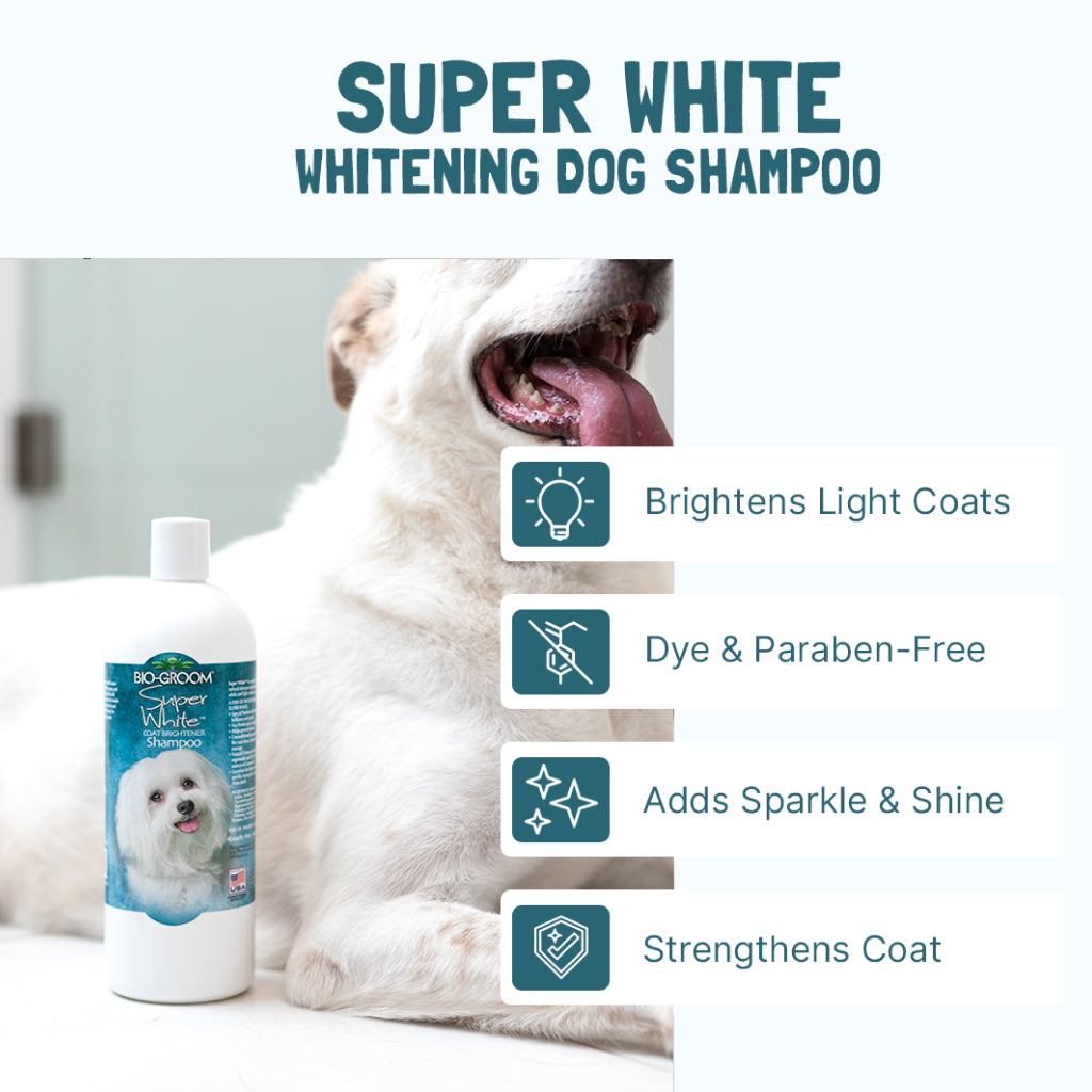 Bio Groom Super White Coat Brightening Shampoo For Dogs