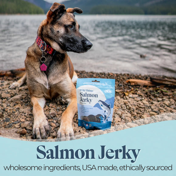 OTIS Wild Things Salmon Jerky Treats for Dogs (4 oz)