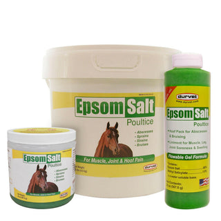 epsom salt poultice for horses