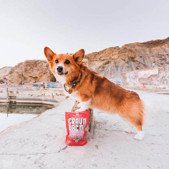 Stella & Chewy's Crav'n Bac'n Bites Bacon & Pork Recipe Dog Treats (8.25 oz)