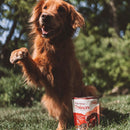 OTIS Wild Things Bison Trainers Bite-Sized Treats for Dogs (4 oz)