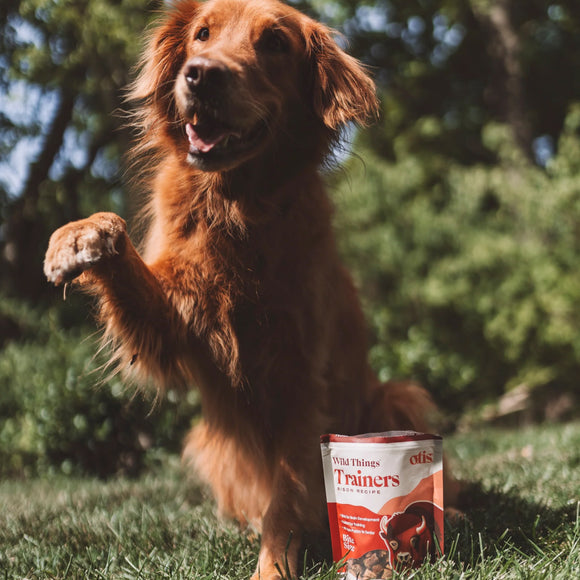 OTIS Wild Things Bison Trainers Bite-Sized Treats for Dogs (4 oz)