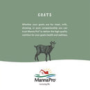 MicrocynAH Ear & Eye Wash For Pets (3 oz)