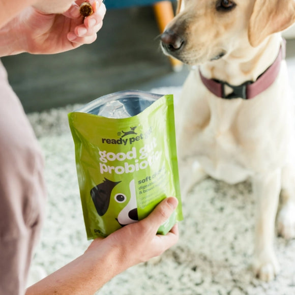 Ready Pet Go Good Gut Probiotic Support for Dogs (60 soft chews)