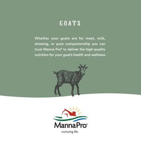 MicrocynAH Wound & Skin Care Hydrogel (8 oz)