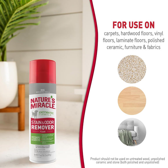 Nature's Miracle Dog Stain and Odor Remover Foam Aerosol Spray (17.5 oz)