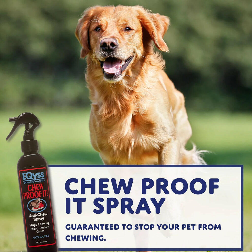 EQyss Grooming Products Chew-Proof Anti-Chew Spray For Pet (8 oz)