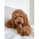 Nylabone Healthy Edibles All-Natural Long Lasting Bacon Chew Treats for Dogs (Medium 2ct)