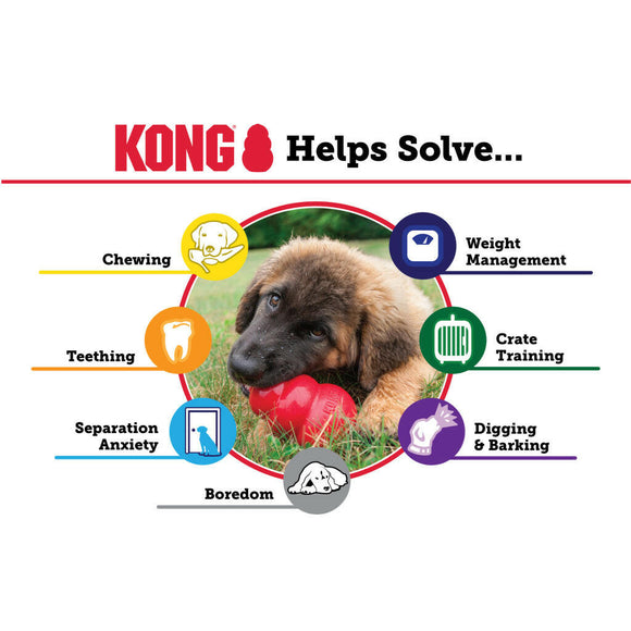 Kong Classic Toy For Dogs (Small Size)
