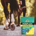 Absorbine Hooflex Concentrated Hoof Builder Pellet Supplement For Horses (11 lb)