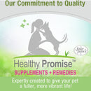 Four Paws Healthy Promise Supplements for Skin and Coat Soft Chews For Dogs (90 ct)