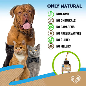 Beloved Pets Dewo with Probiotics Natural Intestinal Defense for Cats & Dogs (2 oz)
