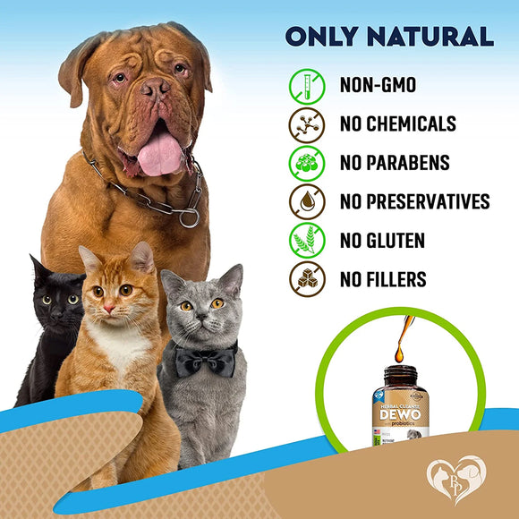 Beloved Pets Dewo with Probiotics Natural Intestinal Defense for Cats & Dogs (2 oz)