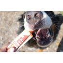 Plato Thinkes Real Salmon Recipe Sticks Dog Treats