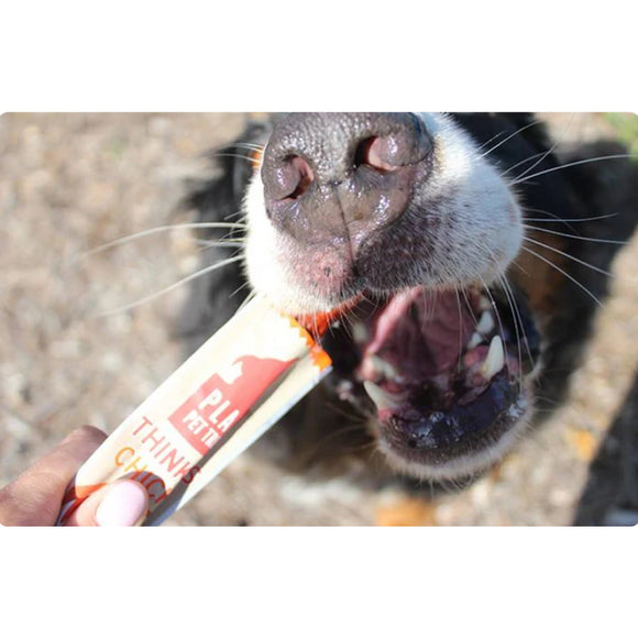 Plato Thinkes Real Salmon Recipe Sticks Dog Treats