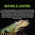 Fluker's Reptile Black Nightlight Bulbs For Reptiles